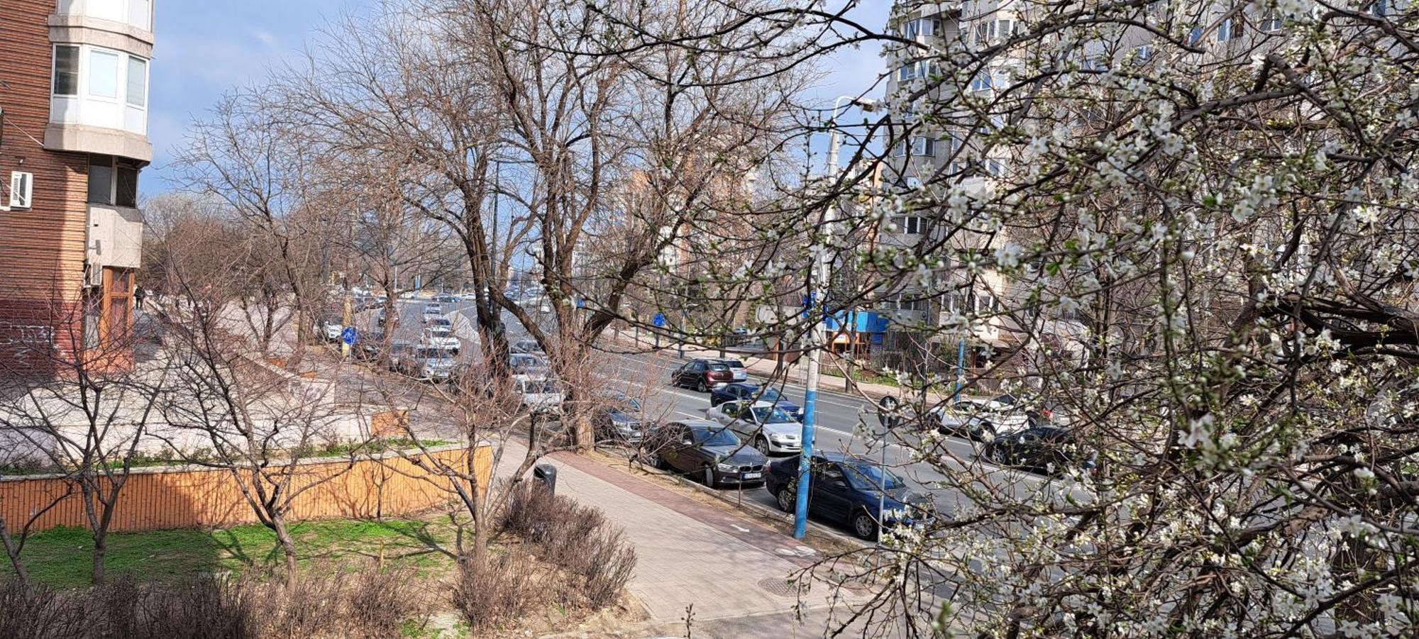 Relax Apartament Констанца Экстерьер фото